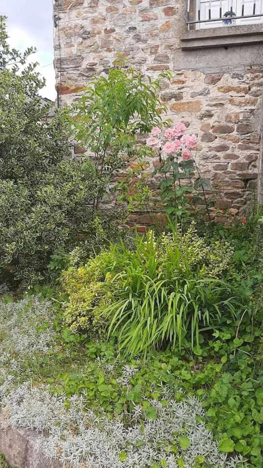 Casa Do Hiebra Alojamiento Rural Ribeira Sacra Castroncelos Exterior foto