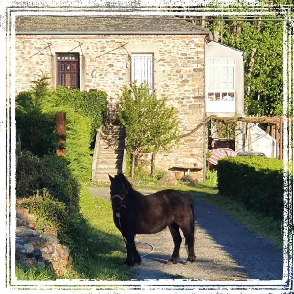 Casa Do Hiebra Alojamiento Rural Ribeira Sacra Castroncelos Exterior foto