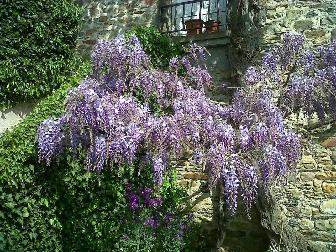 Casa Do Hiebra Alojamiento Rural Ribeira Sacra Castroncelos Exterior foto